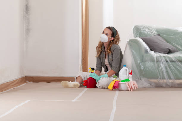 Reliable Mold Remediation contractor in Sudbury, MA by Mold Remediation HQ